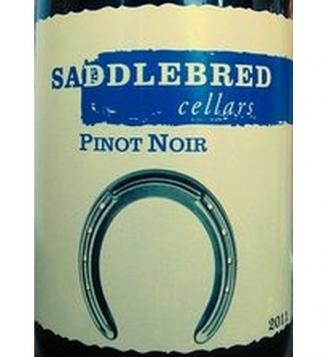 Saddlebred Cellars - Pinot Noir 2022 (750ml) (750ml)